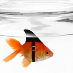 Not-so-risky business: The indemnity-style long-term care rider