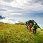 California product changes for New Heights and BCA Elevate