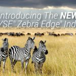 Introducing The New NYSE® Zebra Edge® Index